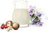 Sendez Ölkaraffe Milchkännchen 150ml Ölspender Weinkaraffe Milchgiesser Sauciere Bild 4