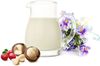 Sendez Ölkaraffe Milchkännchen 150ml Ölspender Weinkaraffe Milchgiesser Sauciere Bild 5
