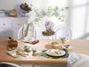 Villeroy & Boch Amazonia Anmut Milchkännchen 200 ml Bild 5