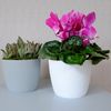 KAGM Blumentopf Übertopf Pflanztopf Rillenoptik Kunststoff UV-beständig Bild 3