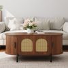 Couchtisch 100x50x40 cm, oval, Walnuss, MDF mit Rattan-Schiebetüren und schwarzen Metallbeinen Bild 2