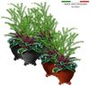 BigDean Blumentopfuntersetzer 20x Blumentopf Füßchen Anthrazit Pflanzkübel Untersetzer extra stabi, Zubehör für Pflanztöpfe, Set, 20-tlg, Robuste, Standhafte, Füßchen für Blumentöpfe, Kübel und mehr Bild 2