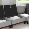 vidaXL Mittelsofa mit Stauraum Hellgrau Samt 42027119 Bild 3
