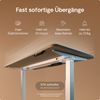 Desktronic HomeOne Elektrisch höhenverstellbarer Schreibtisch 160x80cm Weiß/Grau mit Memory-Funktion, Anti-Kollisions Technologie, USB-A und USB-C-Ladeanschlüssen Bild 3