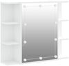 vidaXL Spiegelschrank mit LED Weiß 70x16,5x60 cm 808873 Bild 2