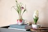 Villeroy & Boch Rose Garden Kaffee-Obertasse 0,23 l Bild 2