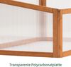 MCombo Frühbeet Gewächshaus Treibhaus Frühbeetkasten 0698, Aufsatz Pflanzenbeet, mit Abdeckung für Jungpflanzen , aus Holz und Polycarbonat, 59 x 100 x 40 cm Bild 5