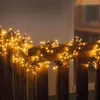 Lichterkette "Bündel", 384 LED-Lichter Wohnzimmerdeko Hängelicht Lichterkette Bild 1