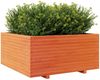 vidaXL Pflanzkübel Wachsbraun 100x100x49,5 cm Massivholz Kiefer 3282541 Bild 4