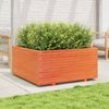 vidaXL Pflanzkübel Wachsbraun 100x100x49,5 cm Massivholz Kiefer 3282541 Bild 3
