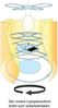 LED Kinderzimmer Deckenleuchte Lampenschirm drehend Motiv Lolo Lombardo Bild 4