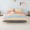 Bett 160x200 cm ohne Matratze, graues Polsterbett mit Dutch-Velours, niedriger Rahmen Bild 3