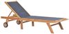 vidaXL Sonnenliegen Klappbar mit Rollen 2 Stk. Teakholz Textilene 3073000 Bild 2