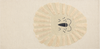 _ProductVariantImage_1bilg_102