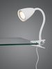 TRIO Leuchten Klemmleuchte WANDA Leselampe mit Klemmhalterung exkl. 1xGU10 max 10W Schnurschalter, Ein-/Ausschalter, Leuchtmittel wechselbar, warmweiß - kaltweiß, flexibel verstellbar, ideal für Büro Regal Schreibtisch Arbeitsplatz Bild 3