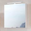 Spiegelschrank 60 DAVOS Bild 2