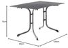 Sieger Boulevard-Klapptisch Boulevard-Klapptisch klappbar, Stahlrohr Eisengrau 80 x 73 x 120 cm Bild 3