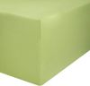 AVANTGARDE PREMIUM Spannbetttuch - 140x200-160x220-40cm Steg - auch für Boxspringbett & Wasserbett - Spannbettlaken sehr gute ca.170g/m² - Bettlaken 100% Jersey Baumwolle, ÖKO-TEX (08 Hellgrün) Bild 2