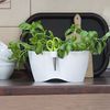 Kräutertopf weiß limes dublo mit Kräuterschere Blumentopf Pflanztopf Bild 4
