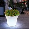 Solar-Blumentopf, 4 weiße LEDs mit Ein- / Ausschalter, im Bildkarton Bild 5