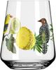 Ritzenhoff 2932001 Universalglas-Set #1, #2 SOMMERTAU Olaf Hajek 2023 Bild 4