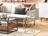 Beistelltisch HALSEY Marmor Optik Gold Bild 2
