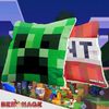 BERONAGE Dekokissen Minecraft Kissen Creeper & TNT 40x40 cm Kuschelkissen Sofakissen, passend zur Bettwäsche, ideal für Sofa, Couch, Kinder-Bett, Auto Bild 3