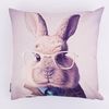 Magma Heimtex Kissenhülle Rabbit Meister Lampe mit Brille 45x45cm Hasen, (1 Stück), Digitaldruck Hasenmotiv Hasenliebhaber Ostern Bild 3