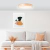 Lightbox Deckenleuchte, LED fest integriert, warmweiß - kaltweiß, spritzwassergeschützte Holz LED Deckenlampe, Ø 34 cm, 3000K - 4500K Bild 3