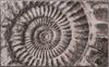 _ProductVariantImage_1bilg_102