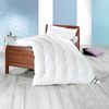 f.a.n. Frankenstolz First Class Steppbett 155x220 Leicht-Steppbett Bild 2