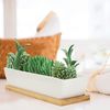Belle Vous Blumentopf Weiße Sukkulentenpflanzentöpfe mit Bambus-Tablett (2 Stück), White Succulent Plant Pots with Bamboo Tray (2 pcs) Bild 4