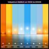 Philips Hue White & Cool Ambiente E27 4er 60W Bild 2