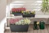 Dehner Blumentopf Blumenkasten Rillei, 80 x 40 x 34 cm, Kunststoff, Blumenkasten für Außen, robust, stilvoll und vielseitig Bild 4