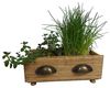 Online-Fuchs Blumentopf Schubladen für Kräuter und Blumen, Blumenkasten, Kräutertopf (2er Set), Foliert Bild 4