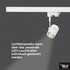 SLV No. 152241 BIMA 1 Leuchtenkopf weiß GU10 max. 50W inklusive 3Phasen-Adapter Bild 3