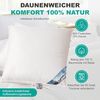 Arktic Classic Night Kopfkissen Federkissen Daunenkissen 85/15 80x80 cm 1. 000 g Bild 2