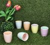 MamboCat Becher 6er Set Pastello Mokkabecher ohne Henkel 150ml 6 Pers Matcha Tasse, Steingut Bild 3