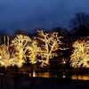 System LED "LED Lichternetz 2x1m" 100 LED´s, warmweiß, IP44 Bild 2