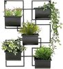 DanDiBo Kräuterregal Küche Wand Metall Schwarz 96525 Wandregal Blumenregal Pflanzenhalter Wandblumenhalter Modern Bild 5