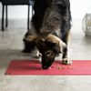 SanoZoo® - Napfunterlage, Öko-TEX - Made in Germany - rutschfeste Futtermatte für Hunde & Katzen, 40x60 cm Pflaume Bild 2
