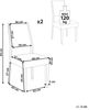 Esszimmerstuhl 2er Set ELMIRA Holz Grau Bild 3