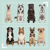 Relaxdays Futterstation Hunde mit Stauraum Bild 5