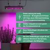 Parus by Venso Pflanzenarmatur GrowLight, 60W Bild 5