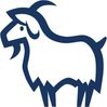 billerbeck Naturfaserbettdecke Contessa, Füllung: 100% Tierhaar (Kaschmir), Bezug: Baumwolle, Ganzjahresbettdecke Bild 4