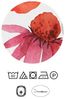 Traumhaft schlafen - Castell - Markenbettwäsche Baumwoll Renforce Bettwäsche 0040756 MOHNBLUMENWIESE, rot, 1x 135x200 cm + 1x 80x80 cm Bild 5