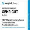 FMP Matratzen Manufaktur Kopfkissen, Cashmerebezug, 65x38 cm Bild 4