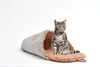 Rohrschneider Tierkissen Tierbett Katzenbett Kuschelschuh Weich mit extra Spielkugelset Bild 2
