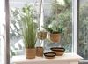 Spetebo Übertopf Seegras Blumenampel natur - 3er Set (Packung, 1 tlg), Geflochtene Boho Chic Blumentöpfe Bild 5