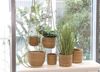 Spetebo Übertopf Seegras Blumenampel natur - 3er Set (Packung, 1 tlg), Geflochtene Boho Chic Blumentöpfe Bild 4